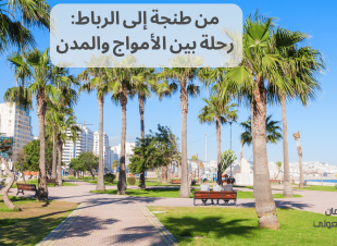 من طنجة إلى الرباط: رحلة بين الأمواج والمدن